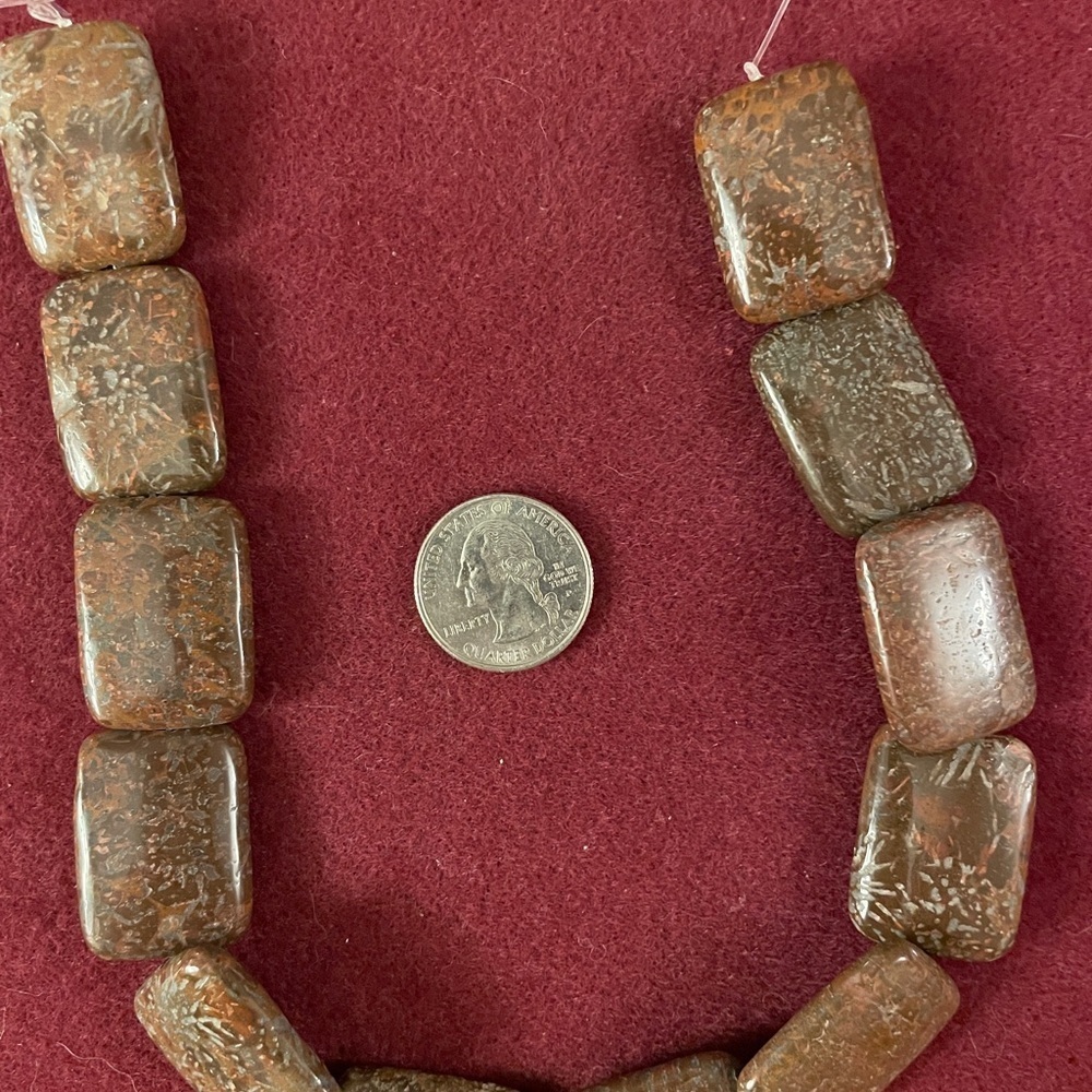 Brown Fossil Coral Stone Beads